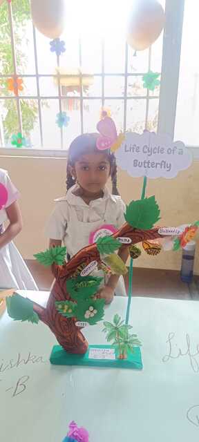 Science Innovation Project